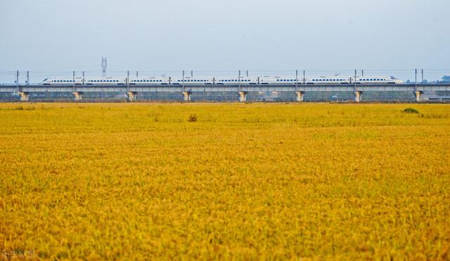 为什么高铁只有8节和16节？高铁运行所需的电力从哪里来？