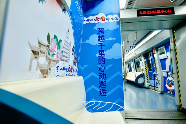 上车！昆明“观鸥季”地铁主题列车来了
