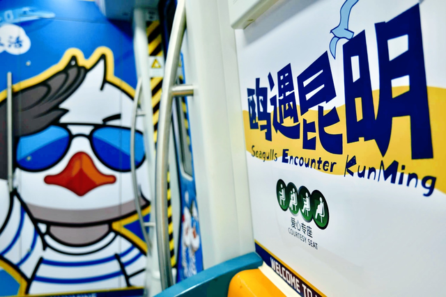 上车！昆明“观鸥季”地铁主题列车来了