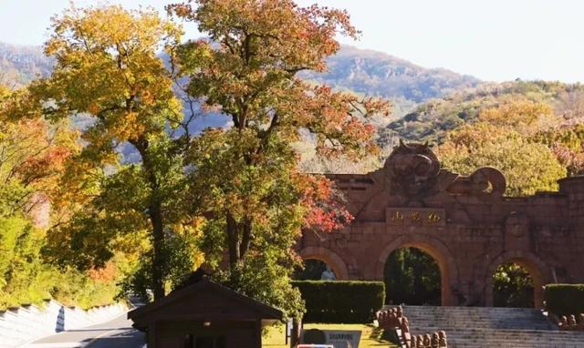 最新铁路调图后，上海到长三角主要城市最短时间有这些变化→