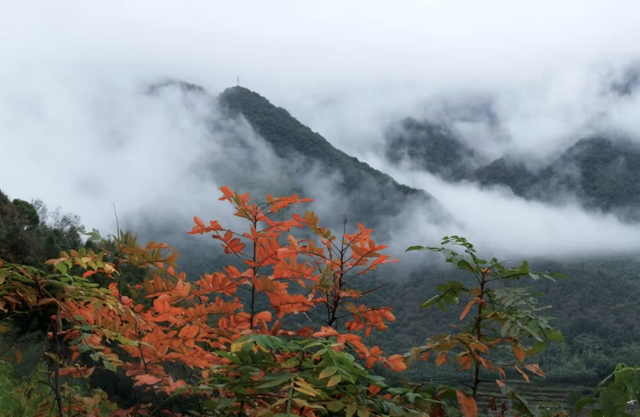 最新铁路调图后，上海到长三角主要城市最短时间有这些变化→