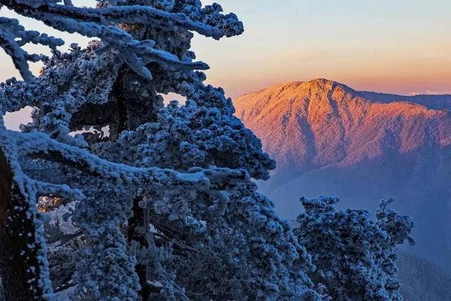 最新铁路调图后，上海到长三角主要城市最短时间有这些变化→