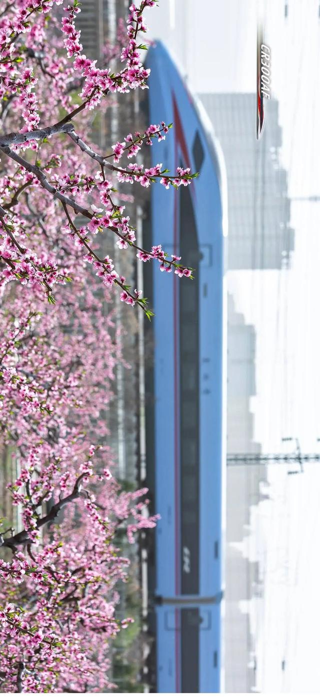 铁道风景线 | 复兴号奔驰在陇山渭水间