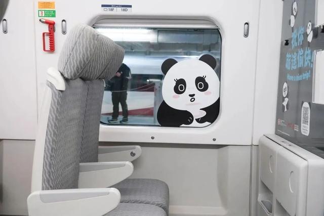 一连12周！香港熊猫专列运营