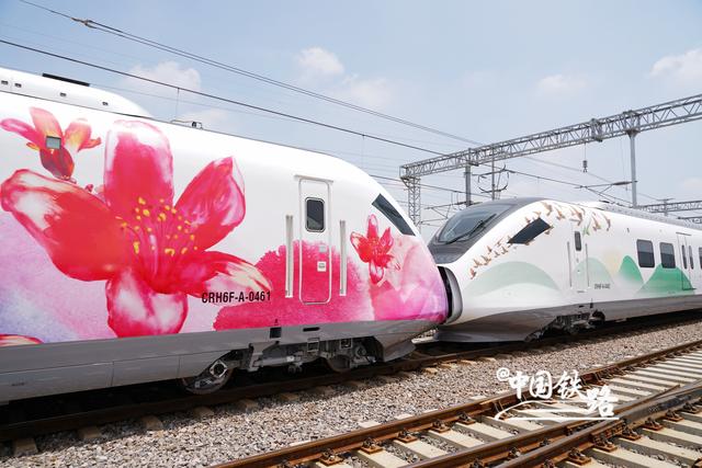 惊艳！各大城市都有的“百变动车组”来了！