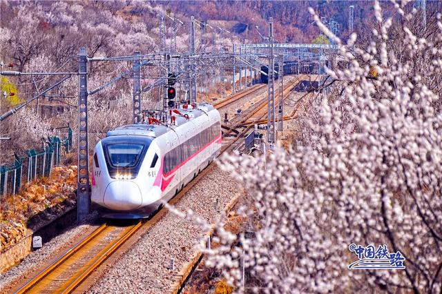 惊艳！各大城市都有的“百变动车组”来了！