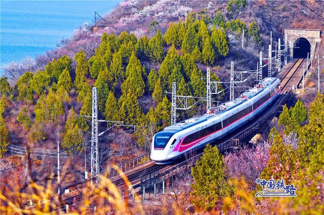 惊艳！各大城市都有的“百变动车组”来了！