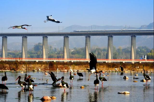 从北京出发，坐高铁列车三个小时内都能到哪儿？