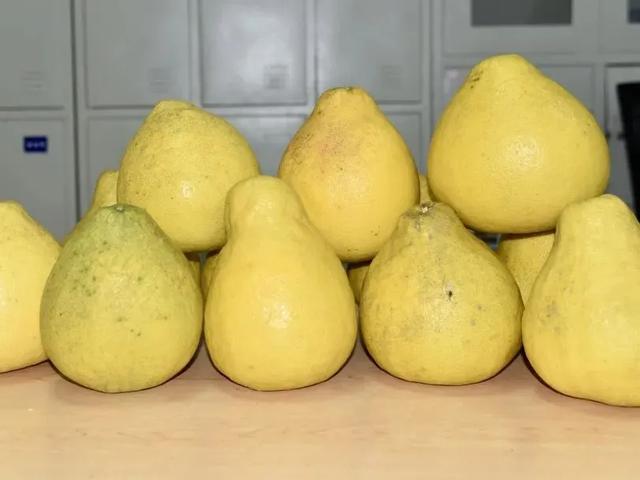 高铁站真香！旅客返乡，为啥都带着“甜蜜”？