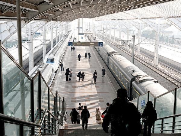 “列车撞鸟”的危险性高吗？铁路列车也要防鸟撞吗？一文了解