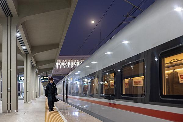 “列车撞鸟”的危险性高吗？铁路列车也要防鸟撞吗？一文了解