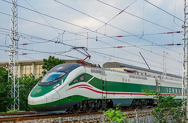 “列车撞鸟”的危险性高吗？铁路列车也要防鸟撞吗？一文了解