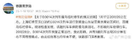 动车撞鸟造成9趟列车晚点，高铁列车为何这么怕鸟？