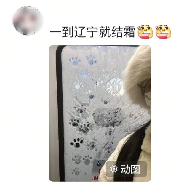 火车车窗变“留言板”！网友：过了山海关就能写