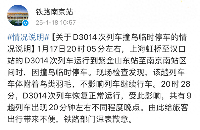 列车撞上飞鸟相当于撞上“子弹” 铁路列车也要防鸟撞→