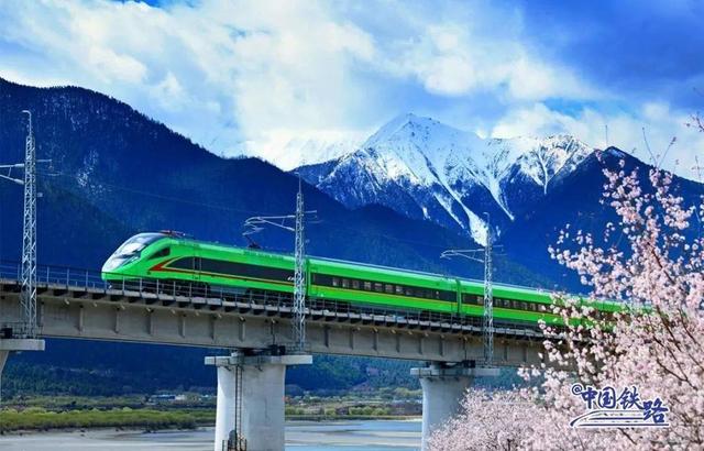 列车撞上飞鸟相当于撞上“子弹” 铁路列车也要防鸟撞→