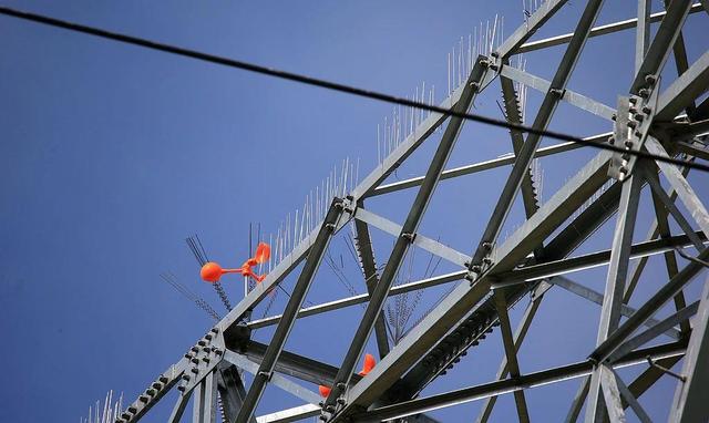 列车撞上飞鸟相当于撞上“子弹” 铁路列车也要防鸟撞→