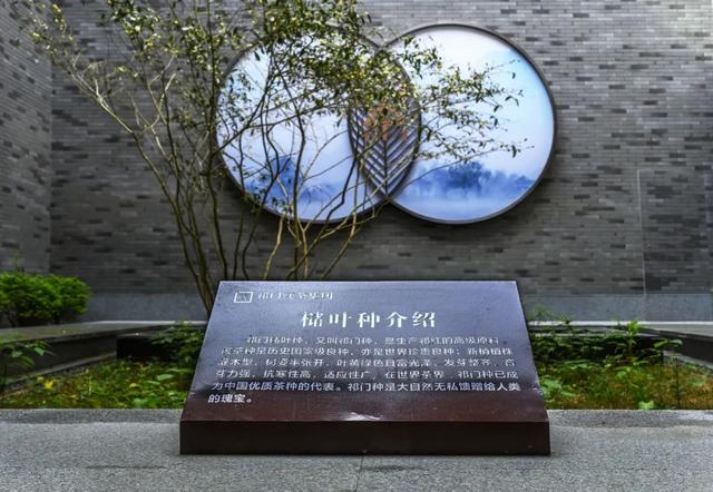 高铁到这里，就是“没难度”！