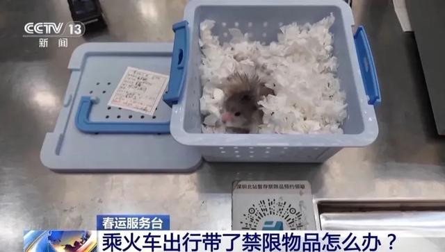 行李箱里“给家人满满的爱”，都能带上火车吗？赶紧自查