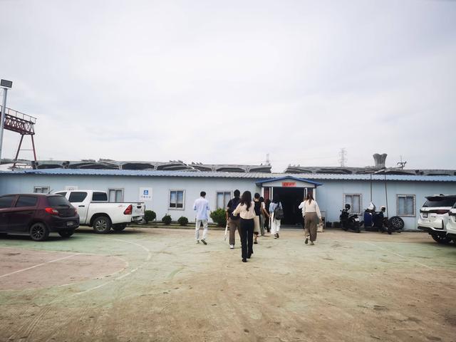张怡玲：“火车一响黄金万两”，越南终于看在眼里