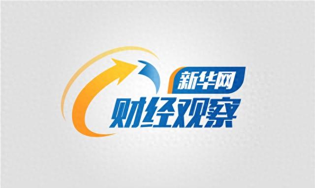 新华网财经观察丨我的铁路风景：“轻装”出行的春运