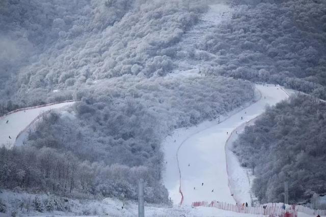 秦岭滑雪？坐高铁来了就知道有啥不一样