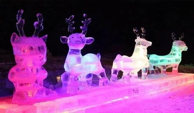 秦岭滑雪？坐高铁来了就知道有啥不一样