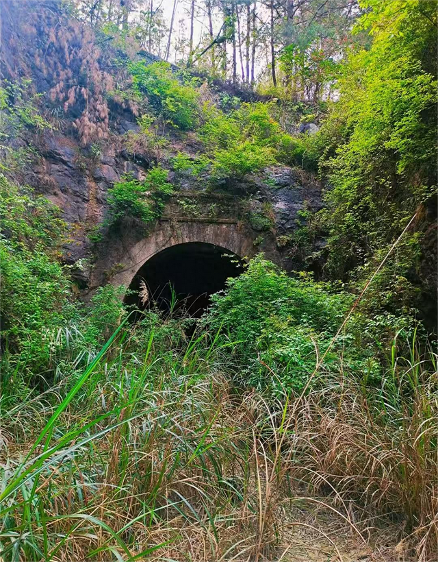 贵州大山里惊现“抗战铁路隧道”