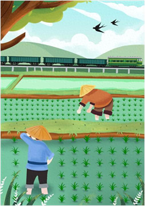 漫评：不负农时不负春　铁路助力春耕忙