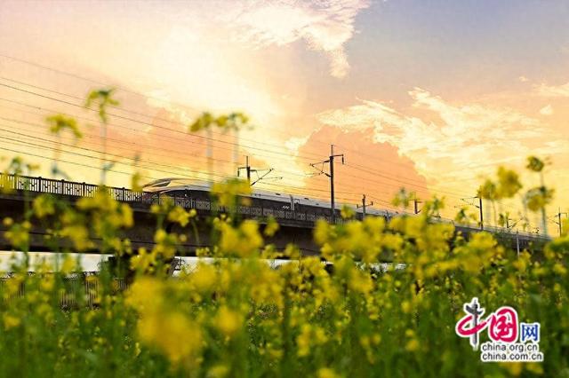 银发专列用慢风景解锁“快时代”的温情密码