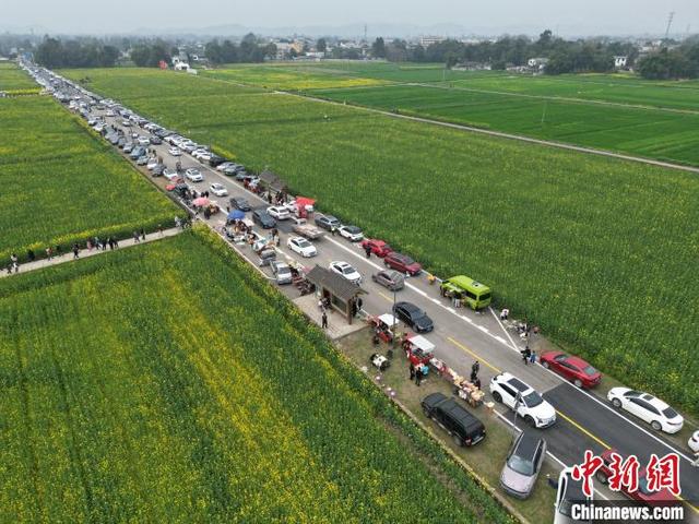 四川成都：游客打卡“开往春天的列车”