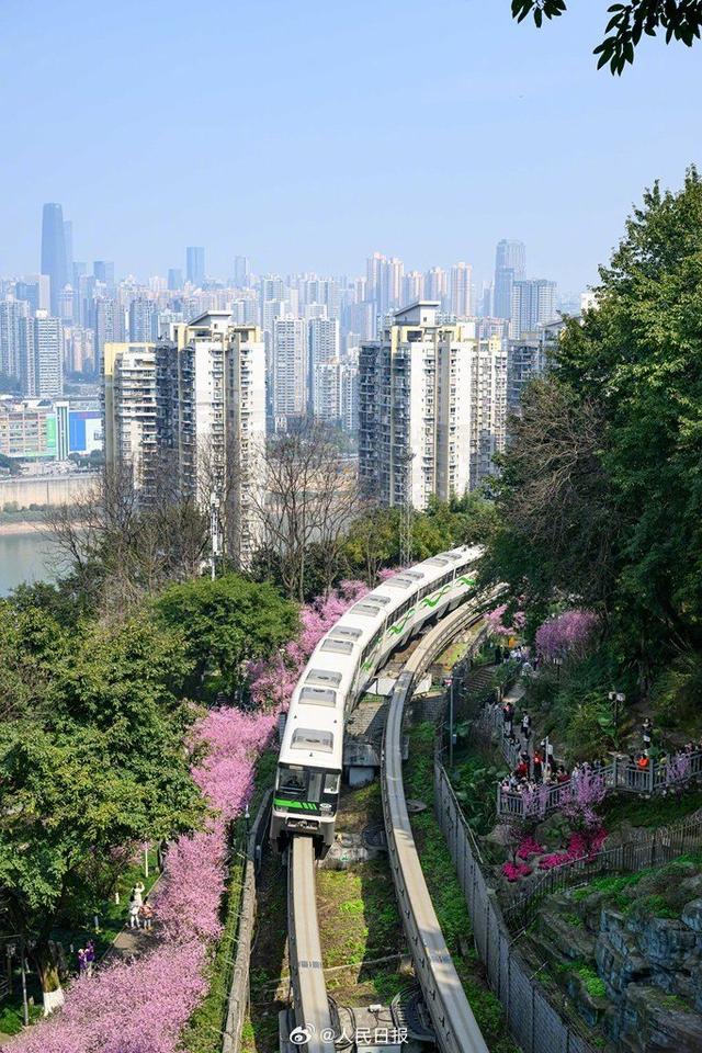 浪漫！开往春天的列车限时返场