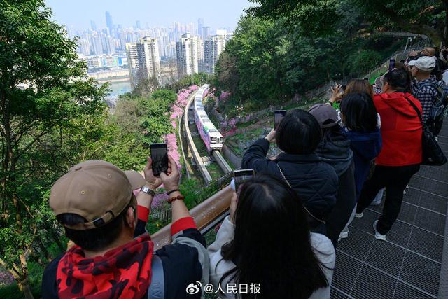 浪漫！开往春天的列车限时返场