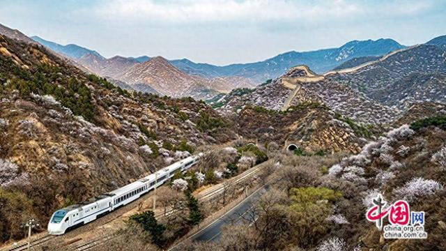 开往春天的列车：铁龙驰沃野 万紫千红入画