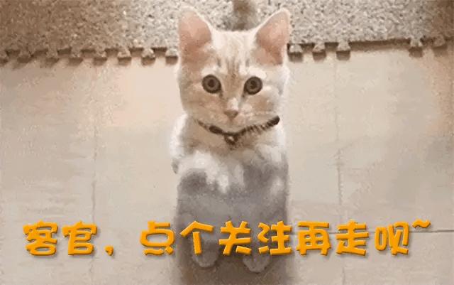 火车上发生过哪些令人吃惊的事？