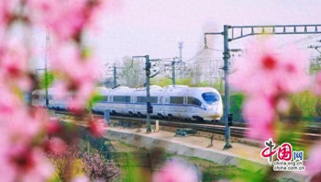 时评：春日铁路之旅 铁轨上的“梦幻序曲”