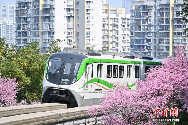 重庆：“开往春天的列车”浪漫上线