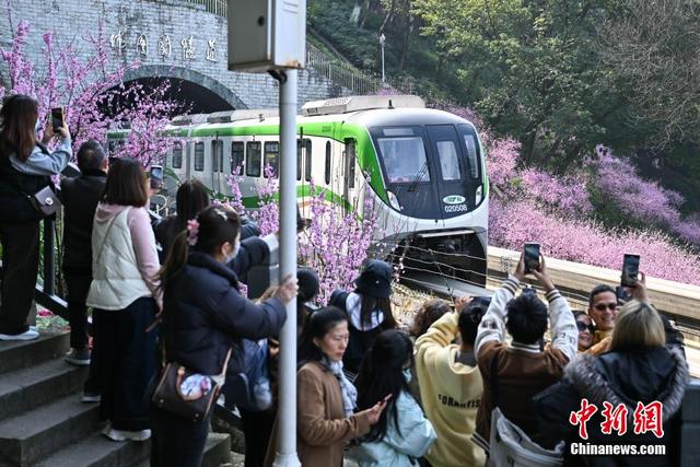 重庆：“开往春天的列车”浪漫上线