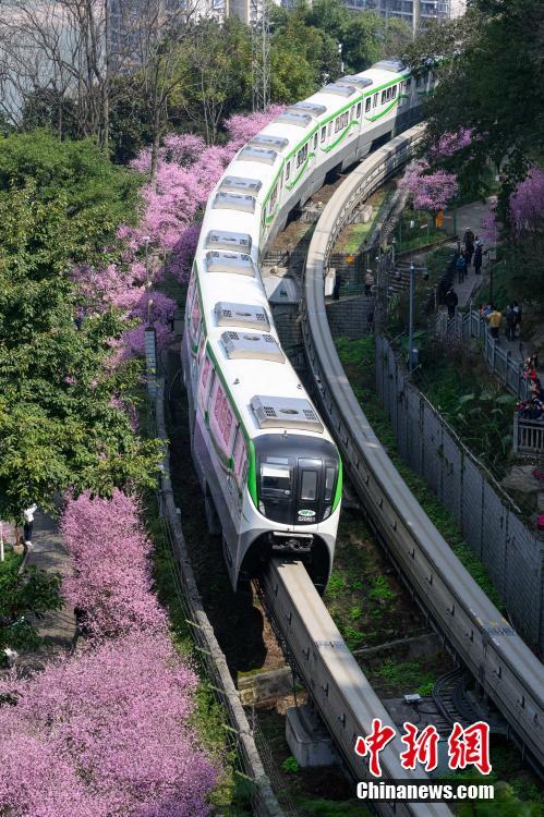 重庆：“开往春天的列车”浪漫上线