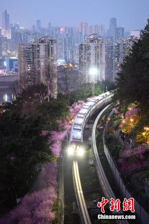 重庆：“开往春天的列车”浪漫上线