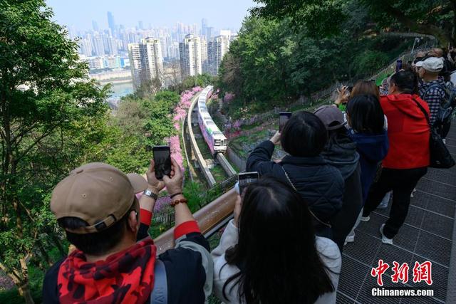 重庆：“开往春天的列车”浪漫上线