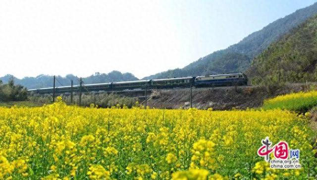 时评：铁路织就春日美景图，共绘民生幸福卷
