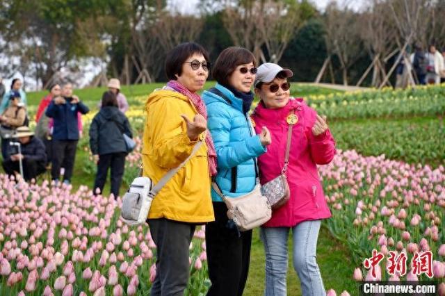 江西迎今春首趟大型入境旅游专列 近千名香港游客共赏豫章春色