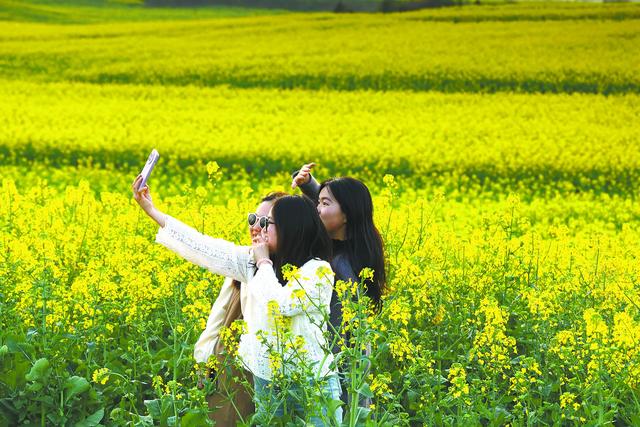列车开往这春天：乘赏花专列，赴一场春天的约会