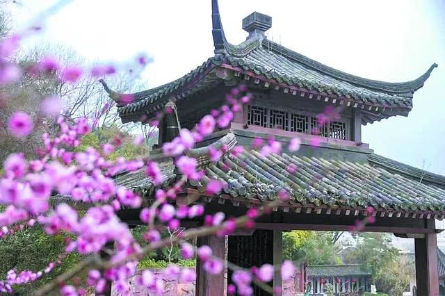 列车开往这春天：乘赏花专列，赴一场春天的约会