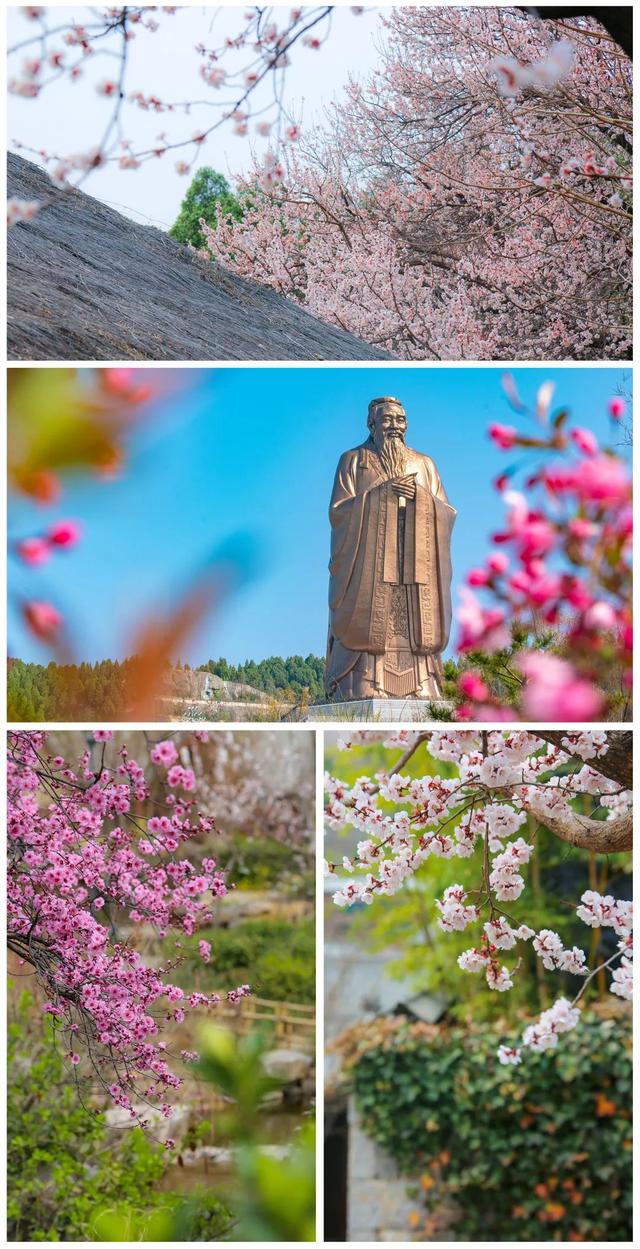 来啦来啦！山东旅游列车，本月开行！途经济宁！