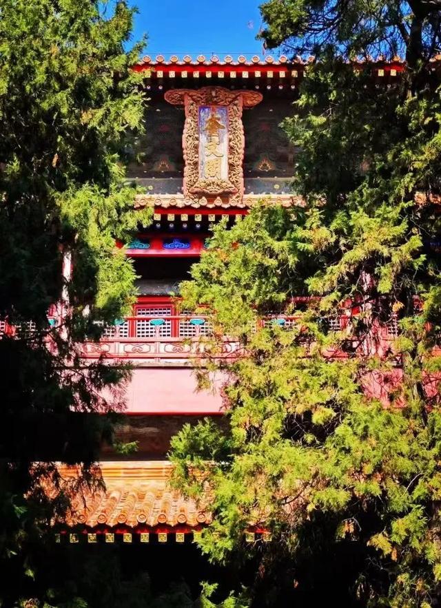来啦来啦！山东旅游列车，本月开行！途经济宁！