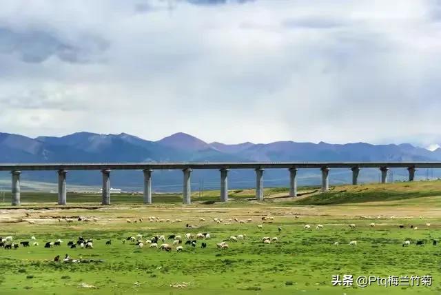 负债已超过万亿？14亿人“养不起”高铁，为何还在大量修建？