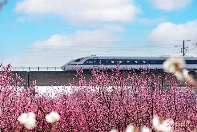 花海列车