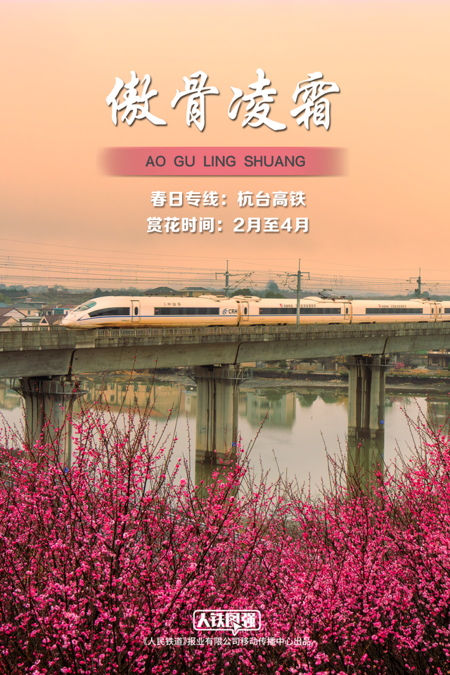 春日列车穿越花海，绝美！